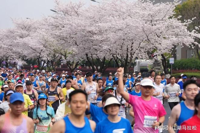 这?热火拒绝字母哥哥交易!没了!取消!特权篮球不再