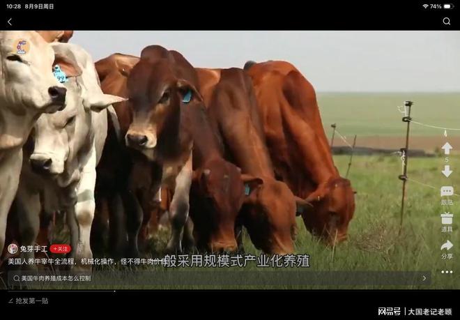 触目惊心,四位选手才夺草地巡回赛冠军,温网首轮纷纷落败
